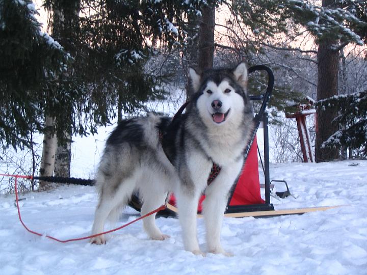 Awa ja Repe 1.08 003.jpg - Awa 4.1.2008